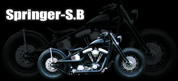 Springer-S.B